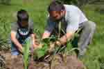 "Indianerbeet" vom 24.05.09