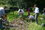 "Indianerbeet" vom 24.05.09