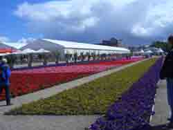 14.06.2008 Bundesgartenschau in Schleswig