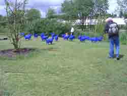 14.06.2008 Bundesgartenschau in Schleswig